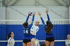 VB vs Salve  Wheaton Women’s Volleyball vs Salve Regina University. : volleyball